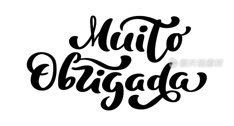 Muito Obrigada手写文字。非常感谢你用葡萄牙语说的。墨水插图。现代毛笔书法。孤立在白色背景上。明信片上的感恩话语